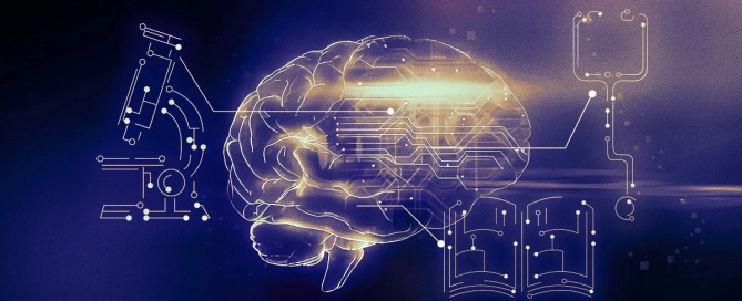 Bloom business school